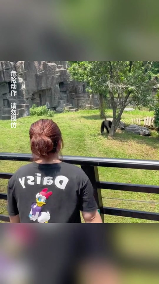今晚澳门特马开奖结果和被大猩猩反向投喂与被大猩猩反向投喂怎么办